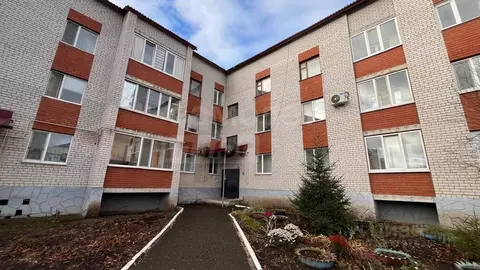 1-к кв. Оренбургская область, пос. Саракташ ул. Мира, 201 (35.3 м)