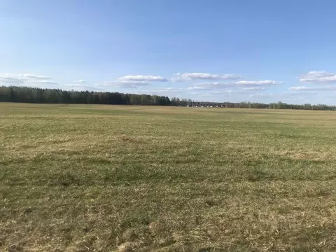 Участок в Алтайский край, Первомайский район, с. Фирсово, Рощино мкр ...