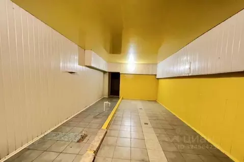 Помещение свободного назначения в Ставропольский край, Ставрополь ул. ...