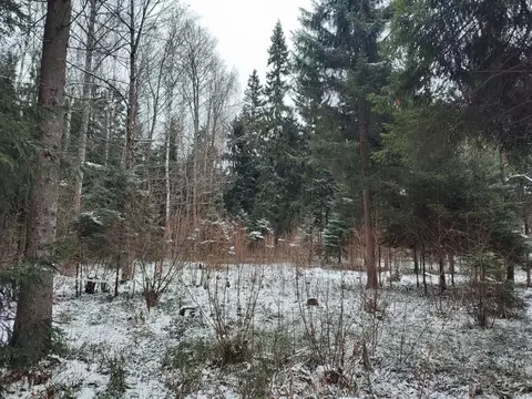 Участок в Московская область, Одинцовский городской округ, пос. НИИ ...