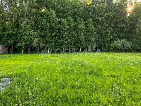 Участок в Тюменская область, Тюменский муниципальный округ, с. Кулига  ...