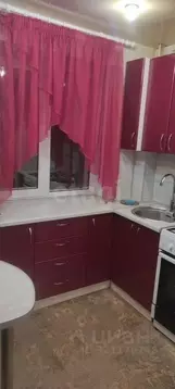 2-к кв. Челябинская область, Озерск Набережная ул., 9 (42.4 м)