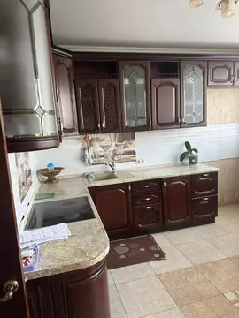 3-к кв. Московская область, Балашиха городской округ, д. Павлино 69 ...