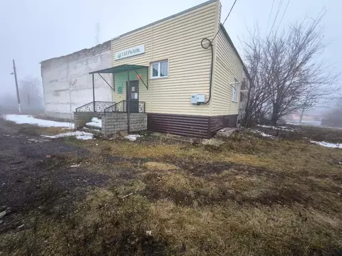 Помещение свободного назначения в Воронежская область, Каменский ...