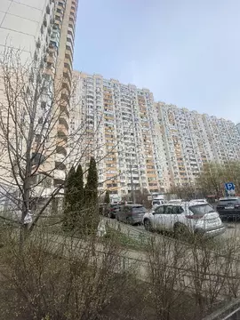 Продается квартира со свободной планировкой
