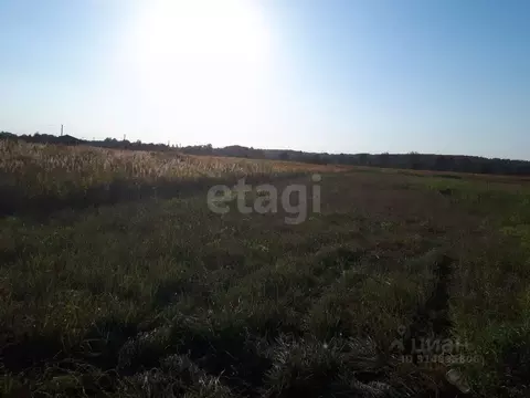 Участок в Брянская область, Брянский район, Отрадненское с/пос, д. ...