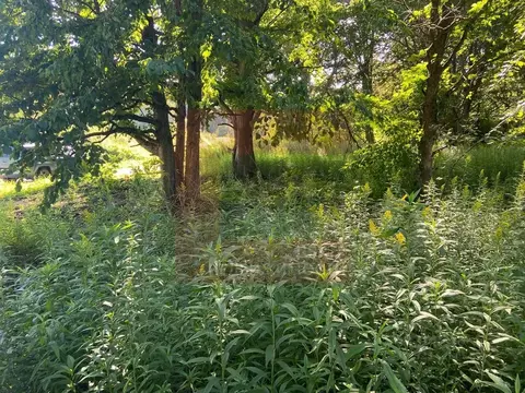 Участок в Калининградская область, Калининград ул. Астраханская (6.0 ...