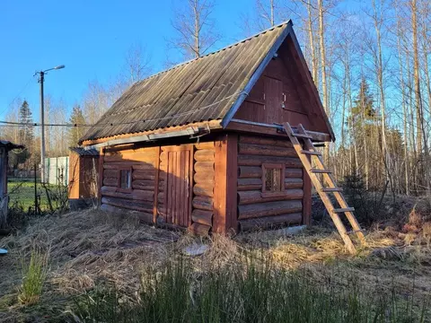 Дом в Ленинградская область, Лужский район, Мшинское с/пос, Мшинская ...