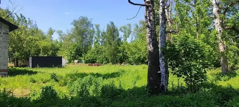 Участок в Московская область, Пушкино Заветы Ильича мкр, Советская ...