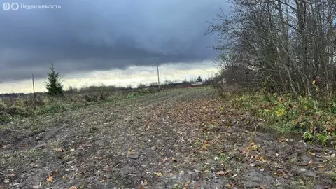 Дом в Волосовский район, Большеврудское сельское поселение, деревня ...