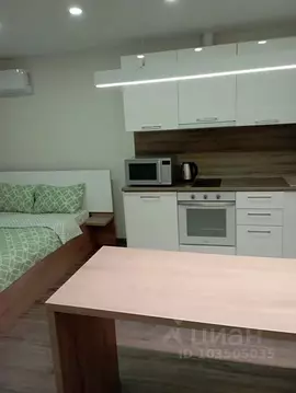 Студия Владимирская область, Владимир ул. Мира, 2Г (31.0 м)