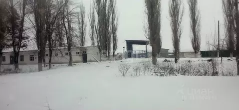 Помещение свободного назначения в Белгородская область, ...