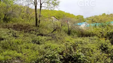 Участок в Краснодарский край, Сочи А-147, 134-й км (4.09 сот.)