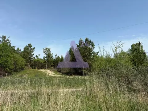 Участок в Алтайский край, Павловский район, с. Павловск Демидовская ...