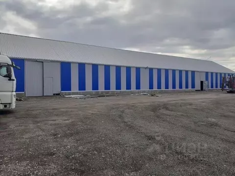 Склад в Нижегородская область, Нижний Новгород ул. Окская Гавань, 3 ...