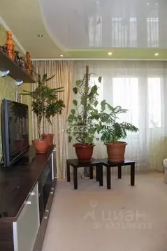 3-к кв. Челябинская область, Миасс ул. Академика Павлова, 41 (67.0 м)