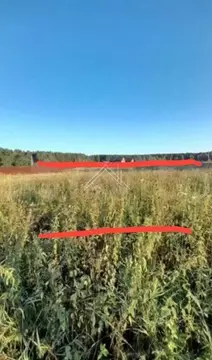 Участок в Ярославская область, Ярославский муниципальный округ, д. ...