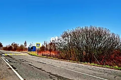 Участок в Калининградская область, Зеленоградский муниципальный округ, ...