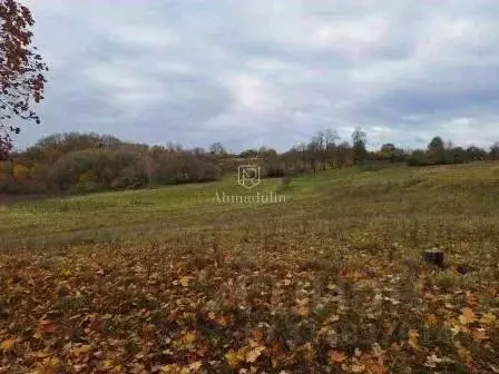 Участок в Тульская область, Щекинский район, Огаревское с/пос, с. ...