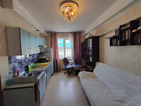 Студия Москва пос. Первомайское, ул. Центральная, 10 (24.0 м)