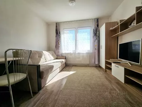 Студия Санкт-Петербург ул. Пейзажная, 2к2 (23.0 м)