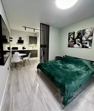 Студия Тюменская область, Тюмень ул. Тимофея Чаркова, 87 (27.0 м)