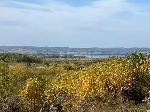 Участок в Амурская область, Благовещенский район, с. Игнатьево  (13.5 ...