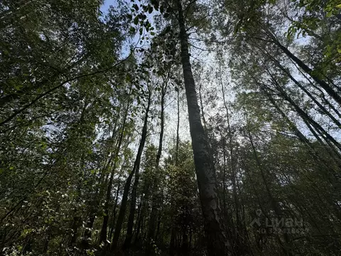 Участок в Московская область, Клин городской округ, Милухино СНТ 210 ...