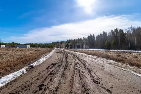 Участок в Тюменская область, Нижнетавдинский муниципальный округ, с. ...