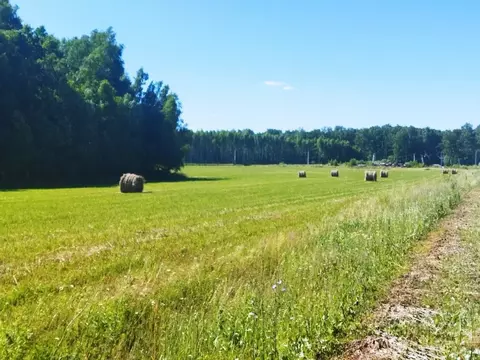 Участок в Тульская область, Ясногорский район, д. Белугино  (16.0 ...