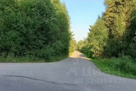 Участок в Новгородская область, Новгородский муниципальный район, ...