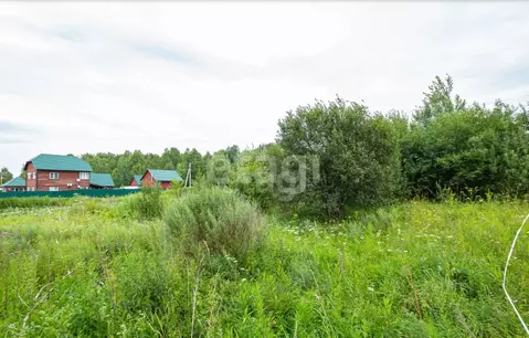 Участок в Новосибирская область, Новосибирский район, Барышевский ...