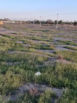 Участок в Астраханская область, Астрахань ул. Генерала Докучаева, 8 ...