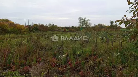 Участок в Брянская область, Брянский район, Добрунское с/пос, д. ...