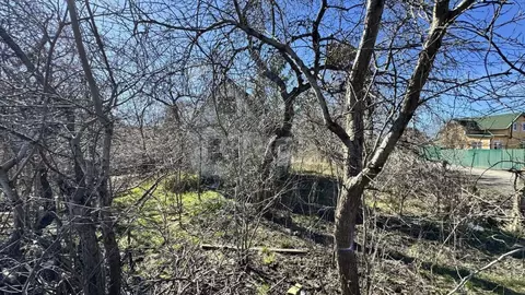 Участок в Калининградская область, Калининград 50 лет Октября СНТ, ул. ...