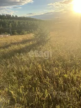 Участок в Забайкальский край, Читинский район, с. Засопка  (10.3 сот.)