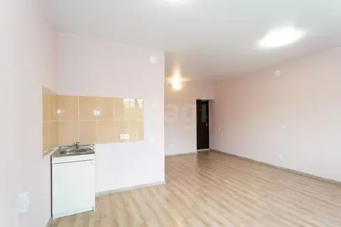 Студия Новосибирская область, Новосибирск ул. Николая Грицюка, 1 (26.4 ...