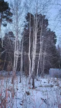 Участок в Тюменская область, Нижнетавдинский район, с. Тюнево ул. ...