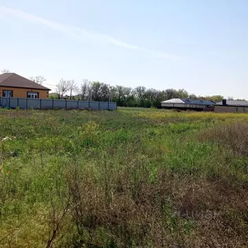 Участок в Ростовская область, Неклиновский район, с. Новобессергеневка ...