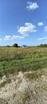 Участок в Калужская область, Перемышльский район, Покровское с/пос, д. ...