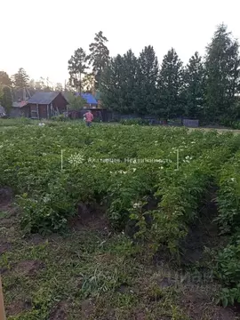 Участок в Томская область, Томский район, с. Курлек, Северный мкр  ...