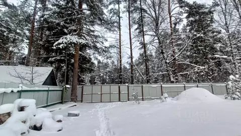 Участок в Ленинградская область, Гатчинский муниципальный округ, ...