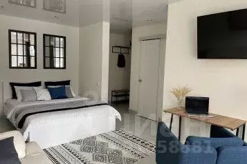 1-к кв. Воронежская область, Воронеж Красноармейская ул., 17 (30.0 м)