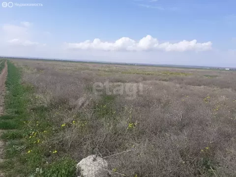 Участок в Черноморский район, Окунёвское сельское поселение, село ...