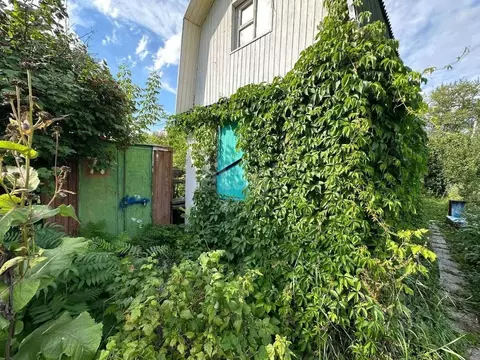 Г Оренбург Купить Дачу В Снт Виктория