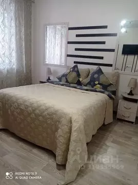 Студия Алтайский край, Барнаул Балтийская ул., 99 (29.0 м)