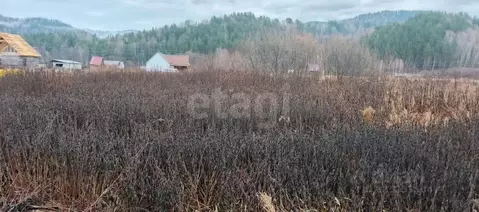 Участок в Алтай, Майминский район, Поселок филиал ул. А.Н. Муратова, ...
