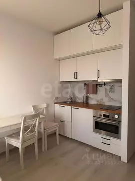 Студия Санкт-Петербург Железнодорожный просп., 14к2 (23.7 м)