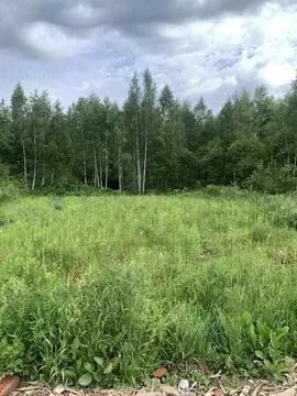 Участок в Калужская область, Перемышльский район, Большие Козлы с/пос, ...