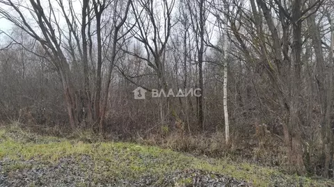 Участок в Владимирская область, Судогодский район, пос. Муромцево  ...